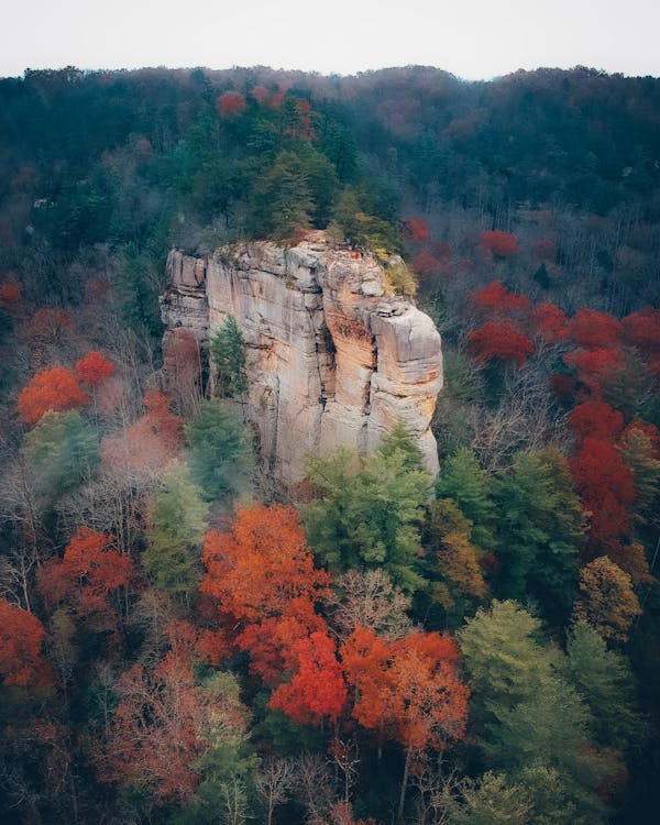 Dental Sleep Apnea Therapy: A Simple Alternative to CPAP